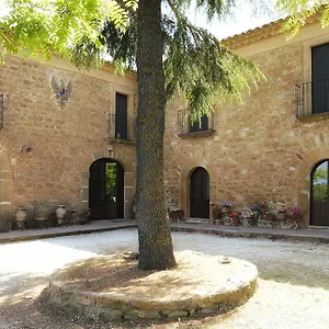 Trigona , Piazza Armerina Italia